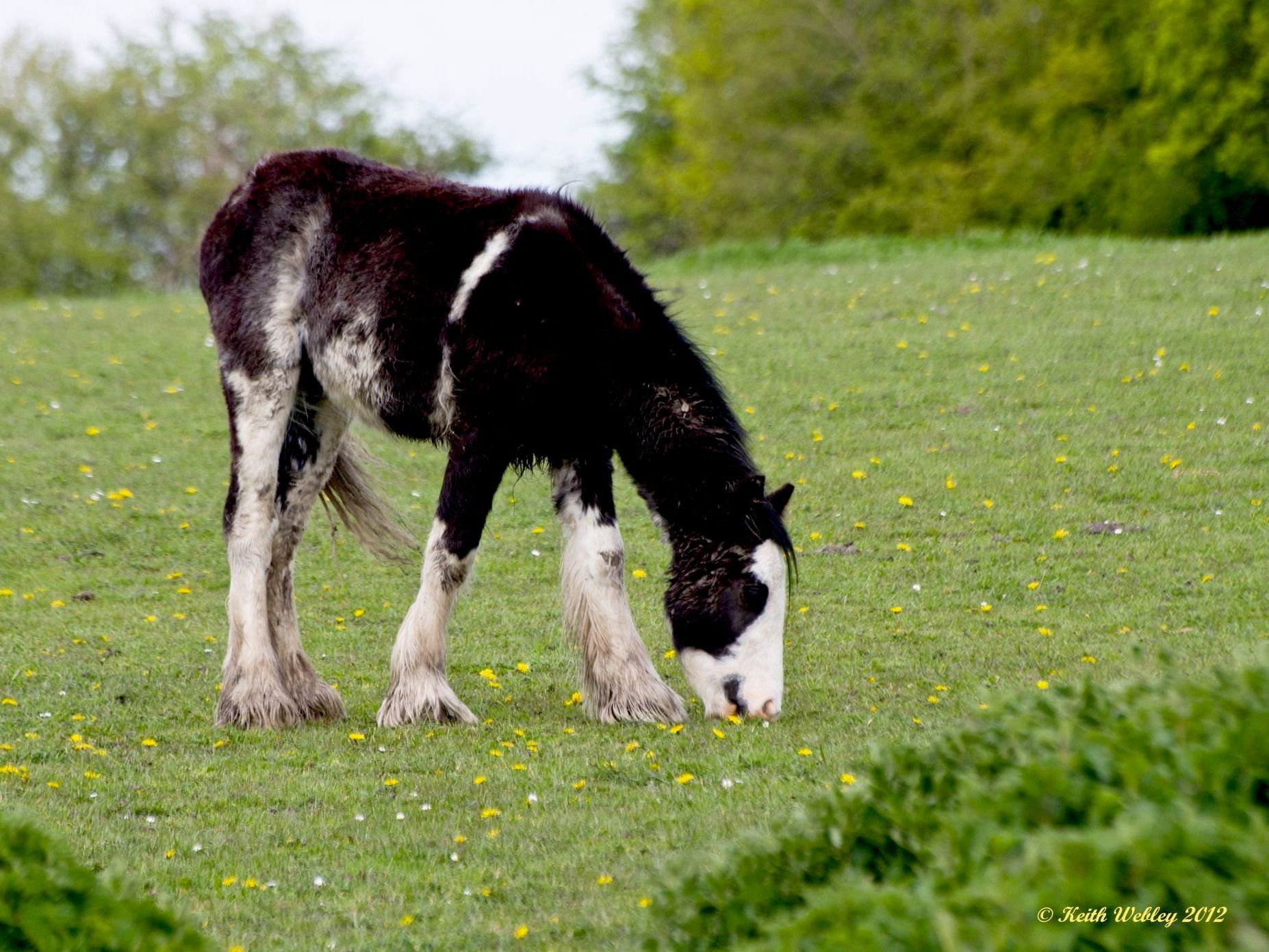 A youngster