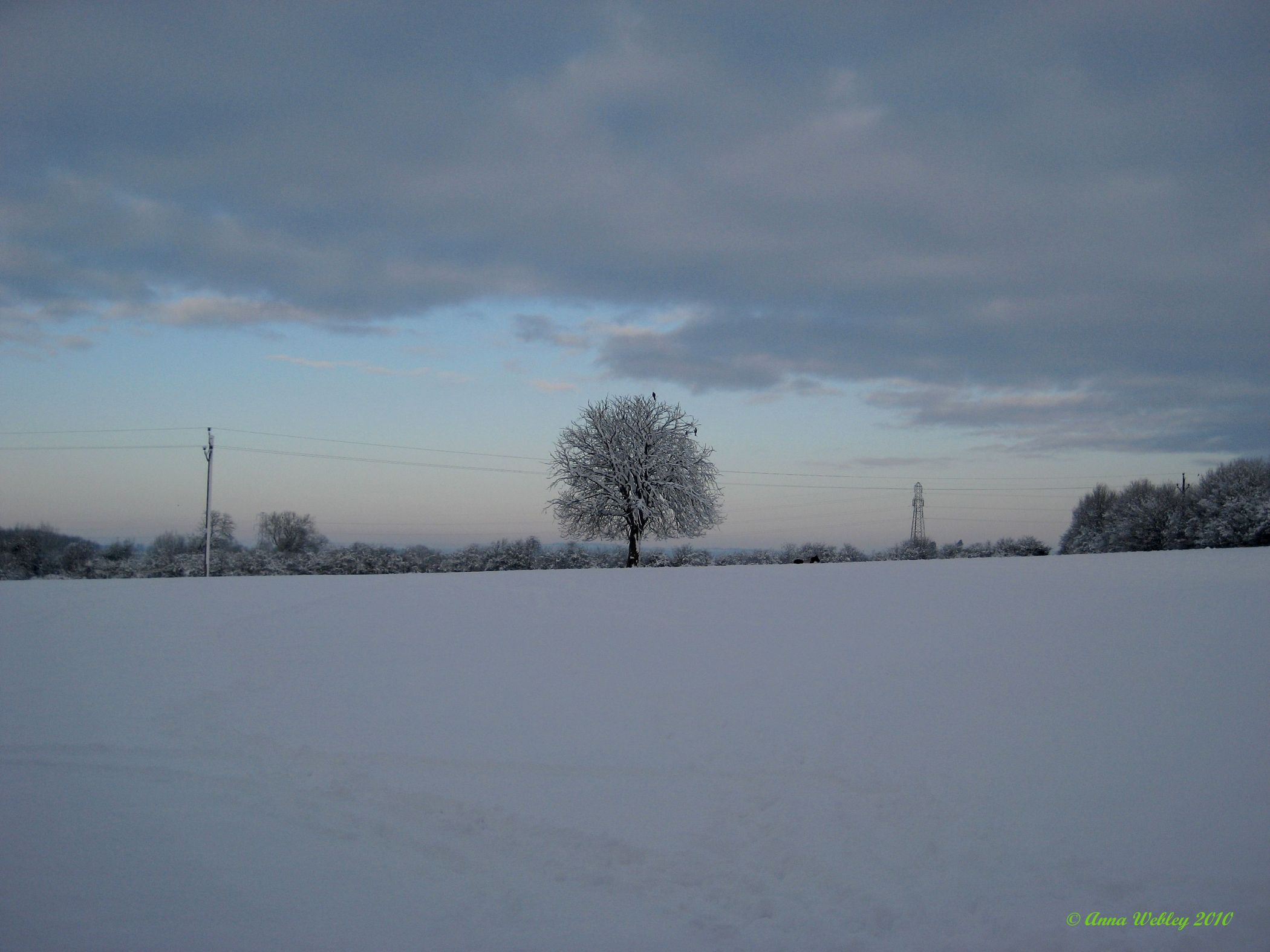 A snow covered field